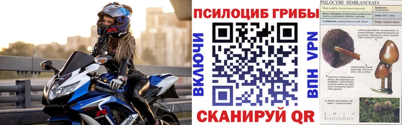 наркота Балахна даркнет как зайти Псилоцибиновые грибы Psilocybe мега как войти