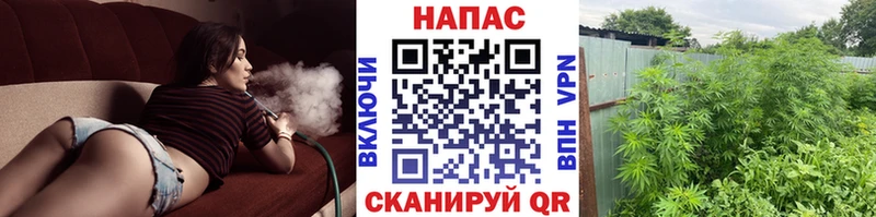 Марихуана MAZAR  Балахна 